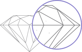 VS1 Image